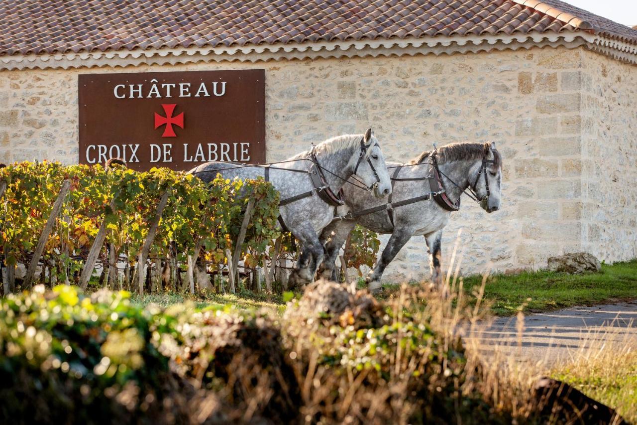 Bed and Breakfast Chateau Croix De Labrie Saint-Émilion Zewnętrze zdjęcie